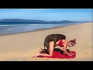 Zoophilic Hell: Hardcore Compilation Without Limits