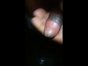 Zoophille Extreme: Salacious Delights