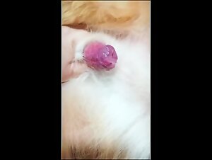 Zoophille Extreme: Slut and Dog Fuck