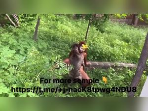 Zooporno with sex women and their cats