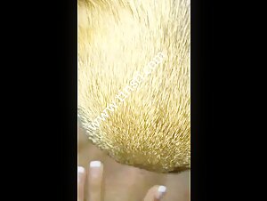 Zoosex: An Extreme and Controversial Experience