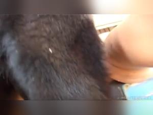 Zooskool: Animal Delights - From Forbidden Desires to Full Fulfillment