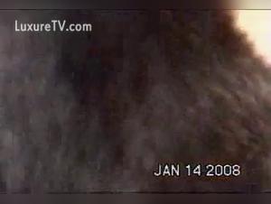 Zooskool: Latin Debauchery and Dog, Part 3