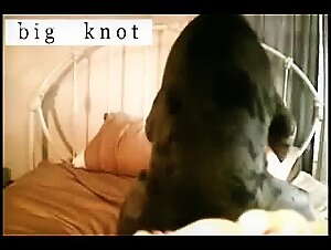 Zooskool Ren Yu Zhu Kuai Bo ! Slut sucks her dog in an animal fuck