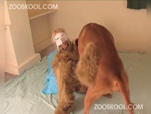 ZooSkool Summer Madness Highlights