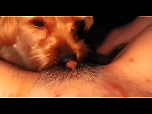 Zootube: Slutty Bitches