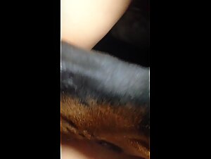 Zootube: The Slut and Her Dog - Animalporn