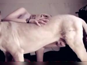 ZooTube X: Bestial Delights - Addiction to the forbidden