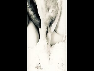 Zoozhamster creampie with blonde whore fucking her dog