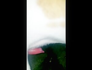 ZSTAR - AMATEUR - BESTIALITY